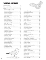 Great Coloring Book of North American Birds