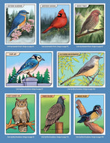 Great Coloring Book of North American Birds