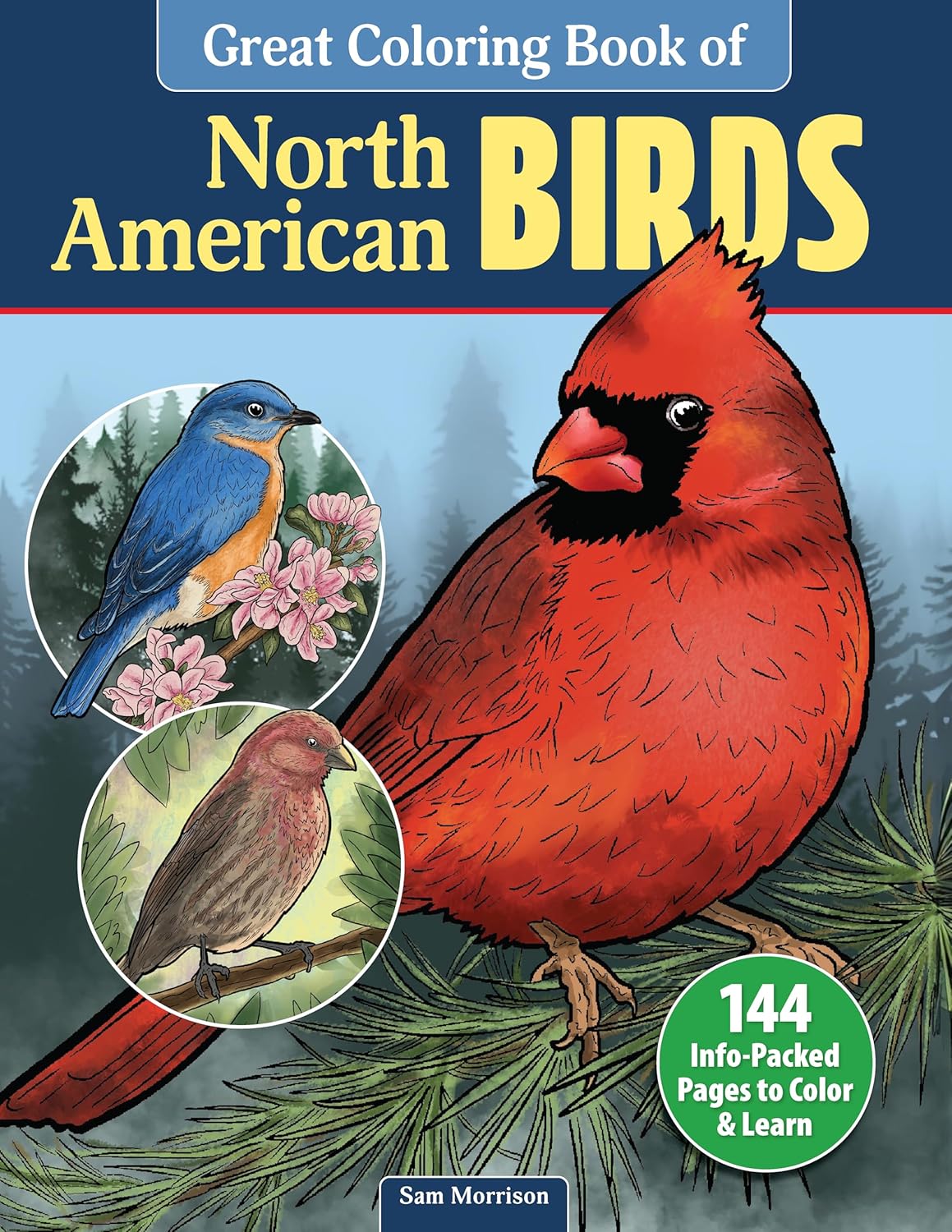 Great Coloring Book of North American Birds – Urban Nature Store