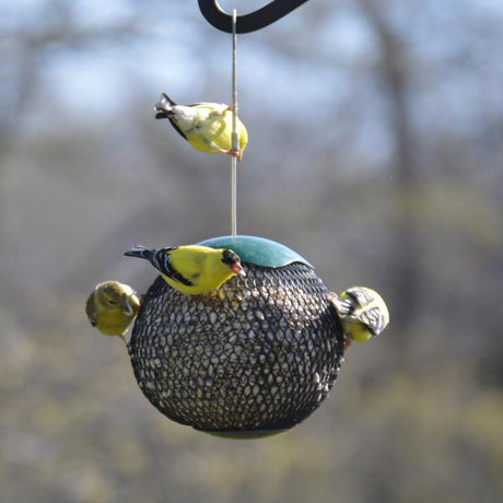Green Seed Sphere Feeder