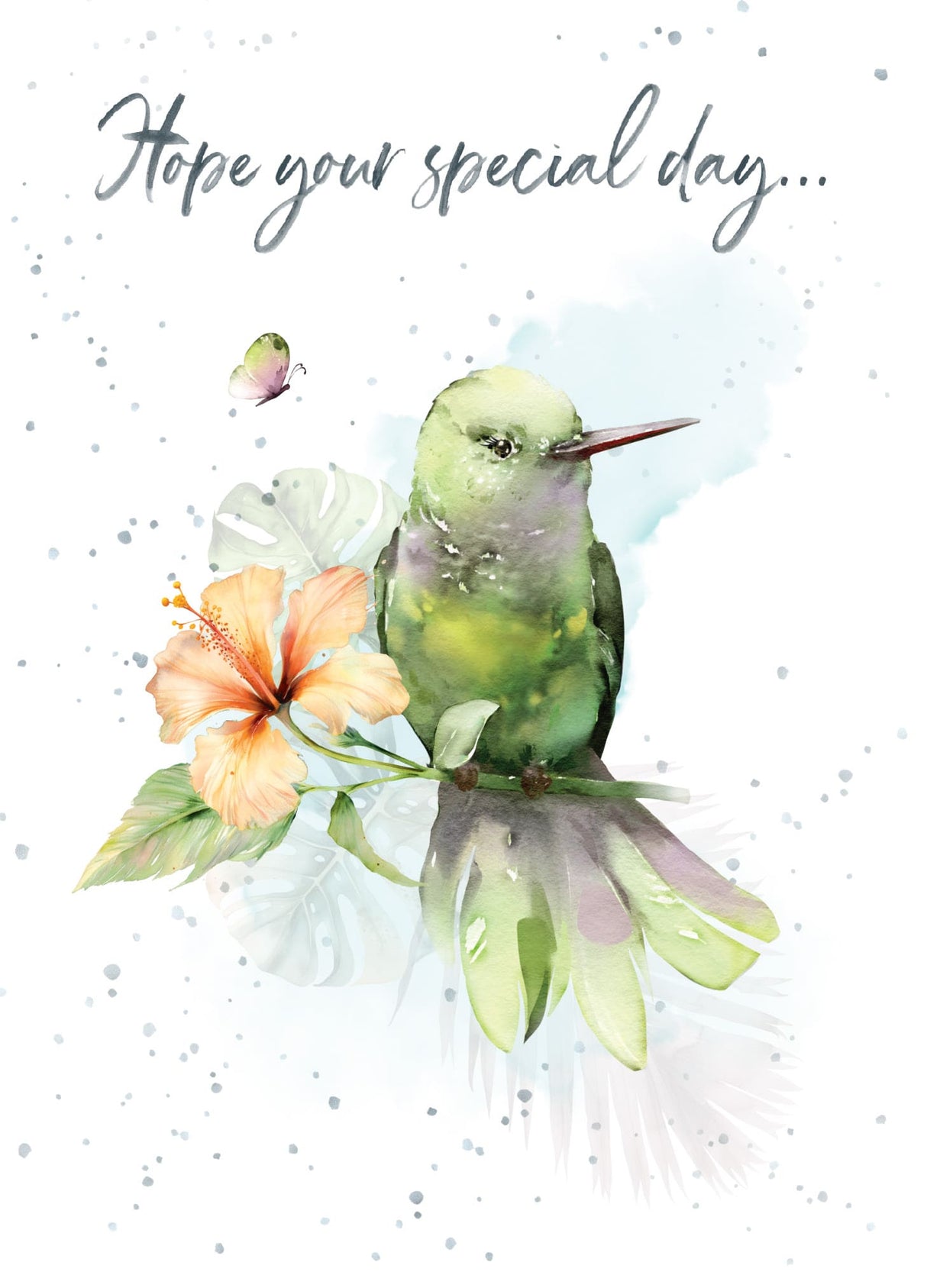 Hibiscus Hummingbird Birthday Card