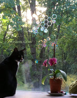 Honey Bee Window Gems