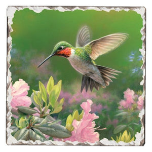 Hummingbird #1 Single Absorbent Stone Tumbled Tile Coaster
