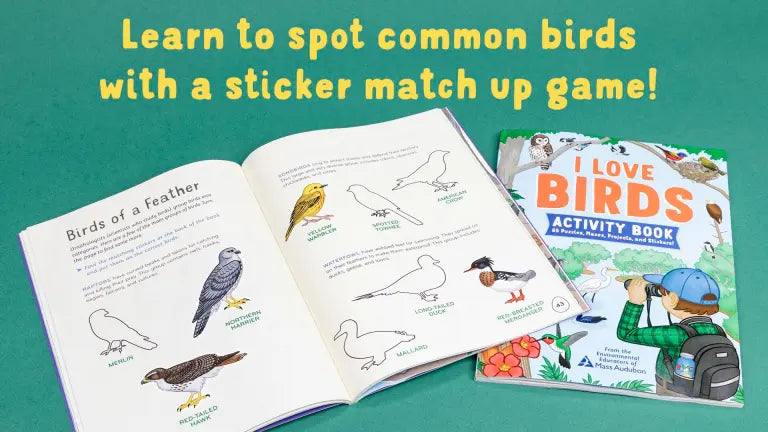 I Love Birds Activity Book