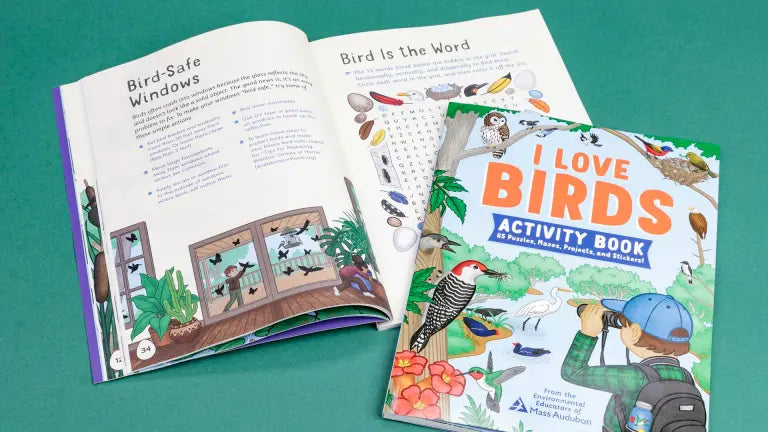 I Love Birds Activity Book