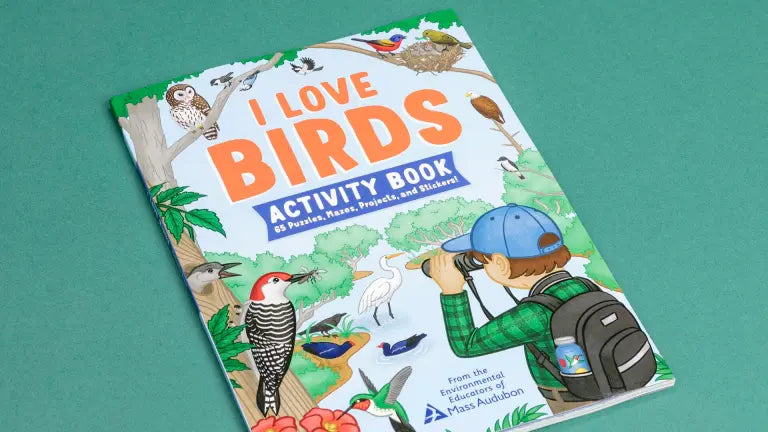 I Love Birds Activity Book