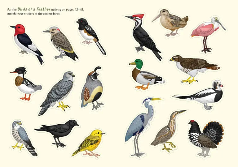 I Love Birds Activity Book