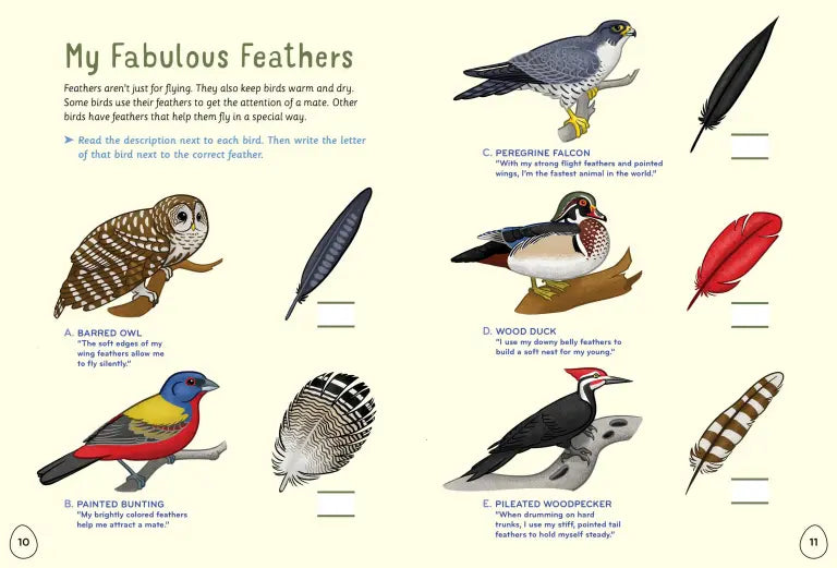 I Love Birds Activity Book