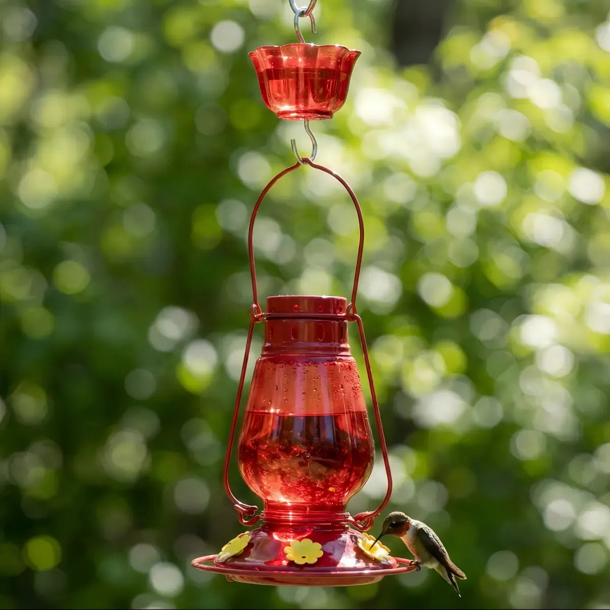 Lamp-shaped Glass Hummingbird Feeder With Moat
