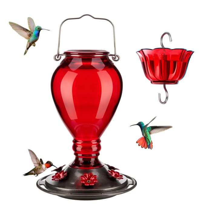 Leak Proof Glass Hummingbird Feeder with Ant Moat, 24oz, Red