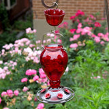 Leak Proof Glass Hummingbird Feeder with Ant Moat, 24oz, Red
