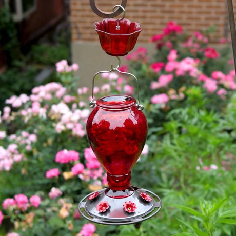 Leak Proof Glass Hummingbird Feeder with Ant Moat, 24oz, Red