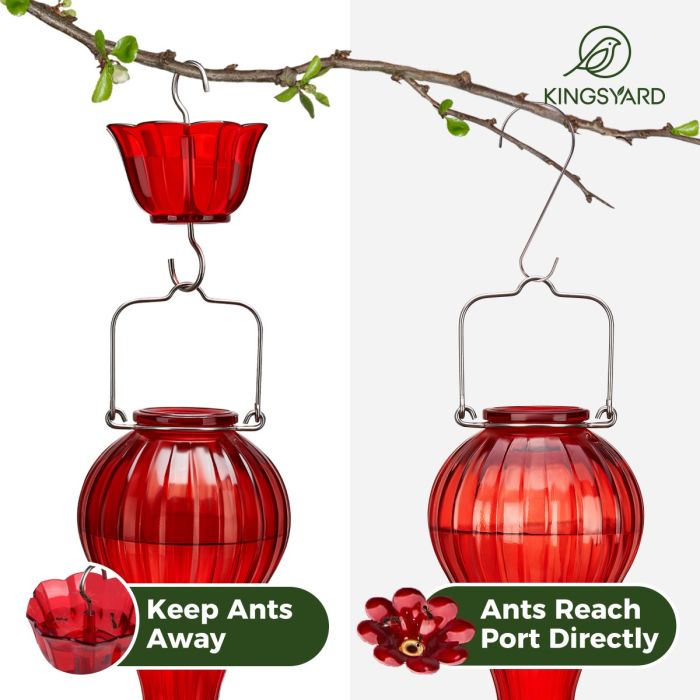 Leak Proof Glass Hummingbird Feeder with Ant Moat, Red, 24oz