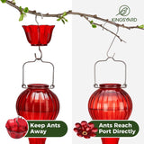 Leak Proof Glass Hummingbird Feeder with Ant Moat, Red, 24oz