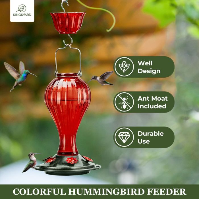 Leak Proof Glass Hummingbird Feeder with Ant Moat, Red, 24oz