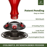 Leak Proof Glass Hummingbird Feeder with Ant Moat, Red, 24oz