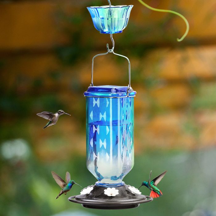 Leak Proof Glass Hummingbird Feeder with Ant Moat and Six Feeding Ports, Blue, 24oz
