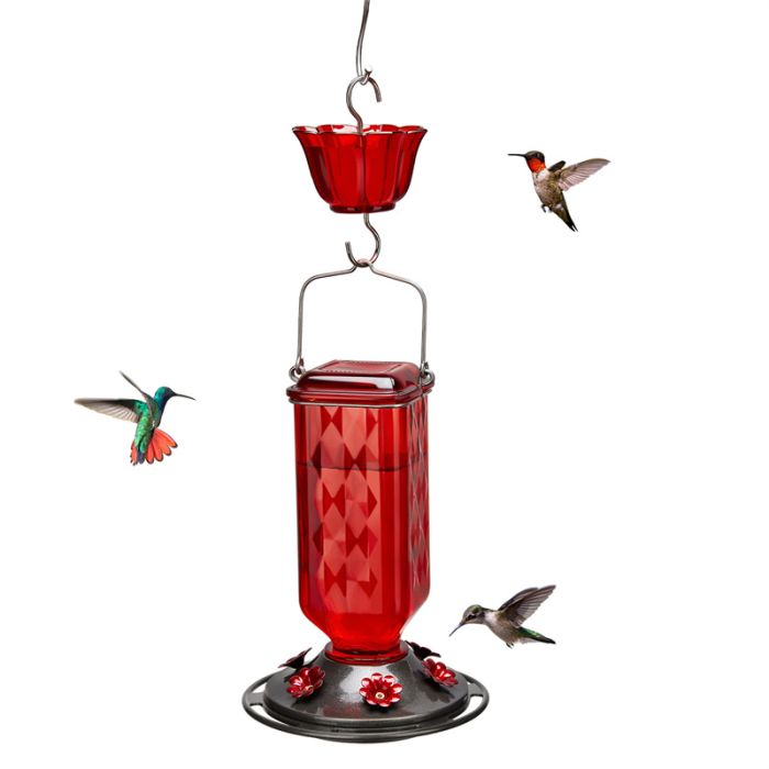 Leak Proof Glass Hummingbird Feeder with Ant Moat and Six Feeding Ports, Red, 24oz