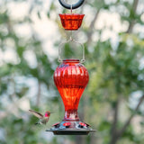 Leak Proof Glass Hummingbird Feeder with Ant Moat, Red, 24oz