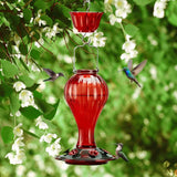 Leak Proof Glass Hummingbird Feeder with Ant Moat, Red, 24oz
