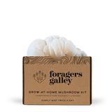 Lion's Mane Grow At Home Mushroom Growing Kit