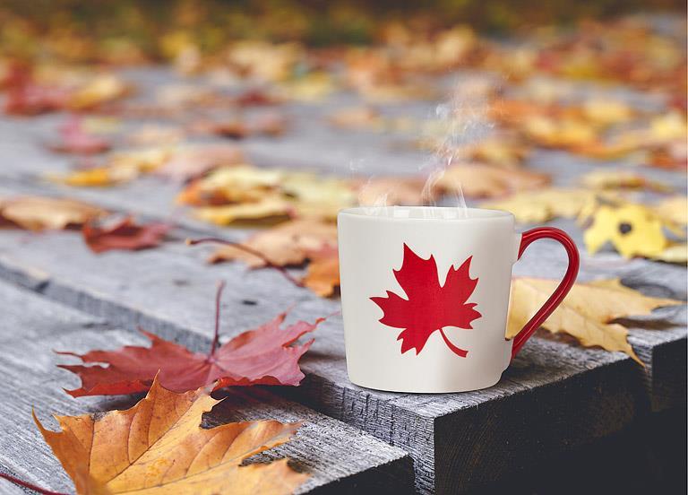 Maple Leaf White and Red Mug