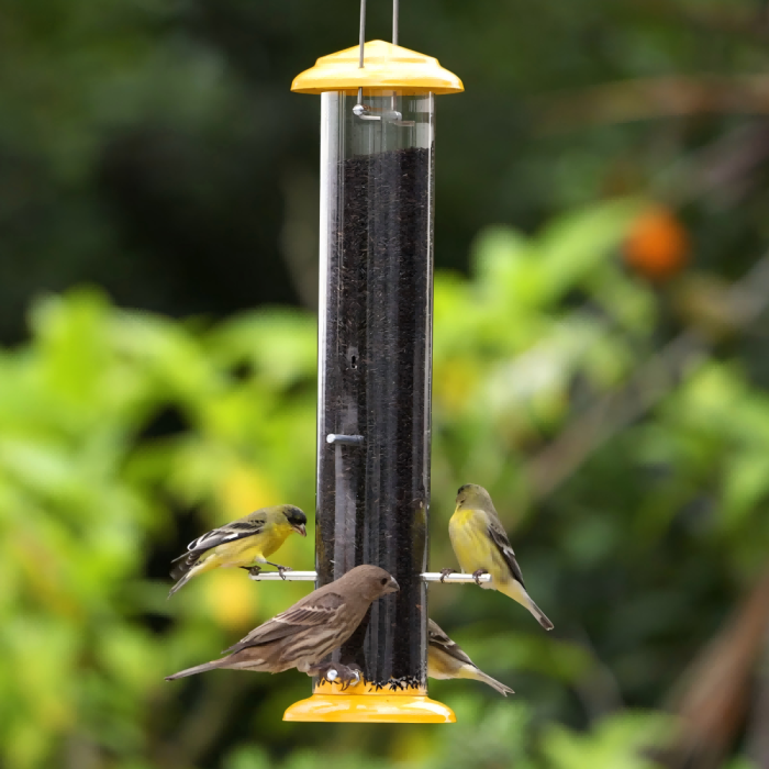 Metal Thistle Tube Bird Feeder, Yellow