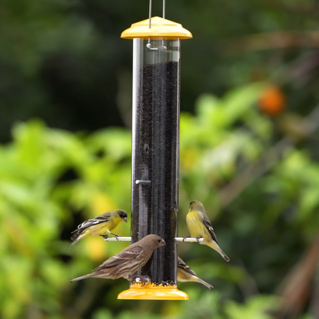 Metal Thistle Tube Bird Feeder, Yellow