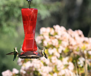 Mirage Hummingbird Feeder, Red, 20oz