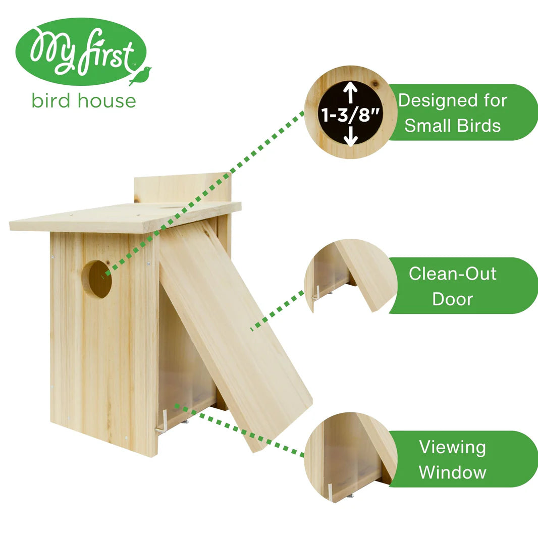 My First Build-It-Together Bird House With Viewing Window