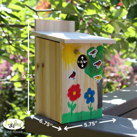 My First Build-It-Together Bird House With Viewing Window