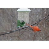 Nature Expert Unique Cardinal Feeder