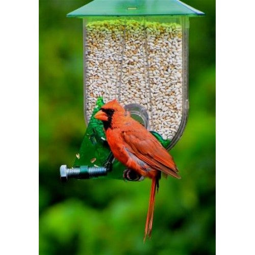 Nature Expert Unique Cardinal Feeder