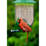 Nature Expert Unique Cardinal Feeder