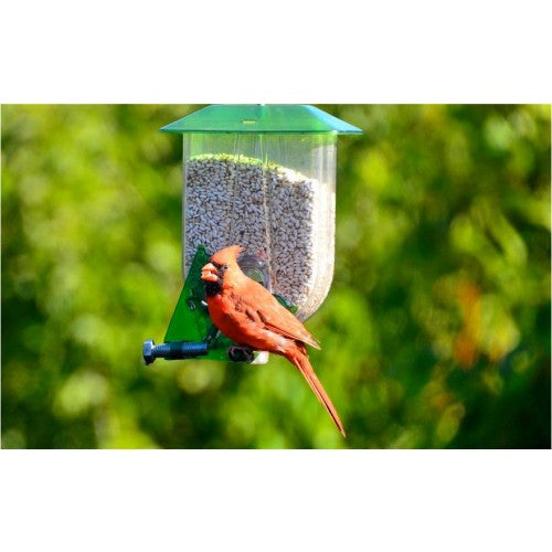 Nature Expert Unique Cardinal Feeder