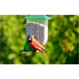 Nature Expert Unique Cardinal Feeder
