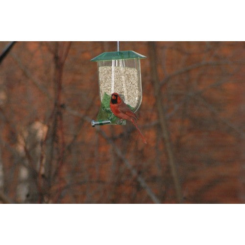 Nature Expert Unique Cardinal Feeder