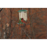 Nature Expert Unique Cardinal Feeder