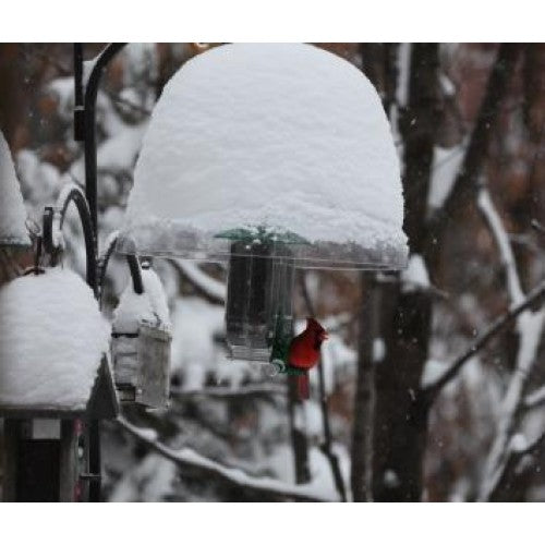 Nature Expert Unique Cardinal Feeder