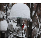 Nature Expert Unique Cardinal Feeder