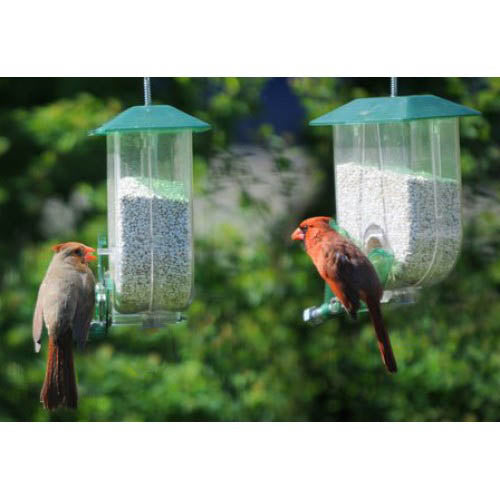 Nature Expert Unique Cardinal Feeder