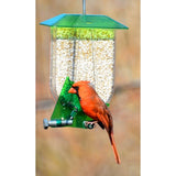 Nature Expert Unique Cardinal Feeder