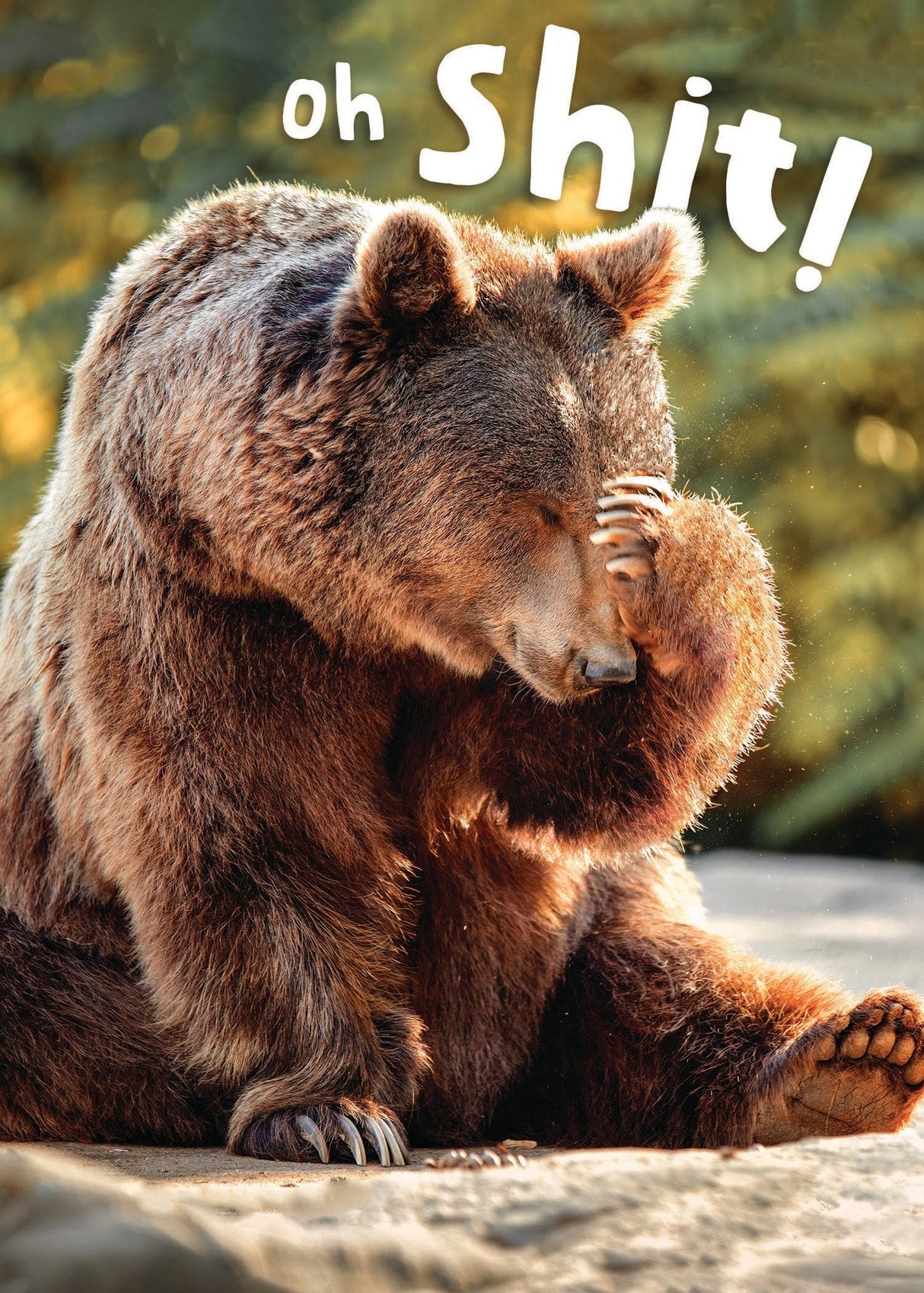 Oh Shit! Greeting Card