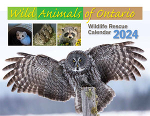 Ontario Wildlife Rescue Calendar 2024