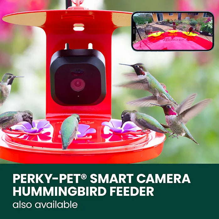 Perky-Pet Smart Camera Squirrel-Resistant Bird Feeder
