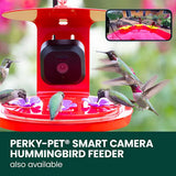 Perky-Pet Smart Camera Squirrel-Resistant Bird Feeder