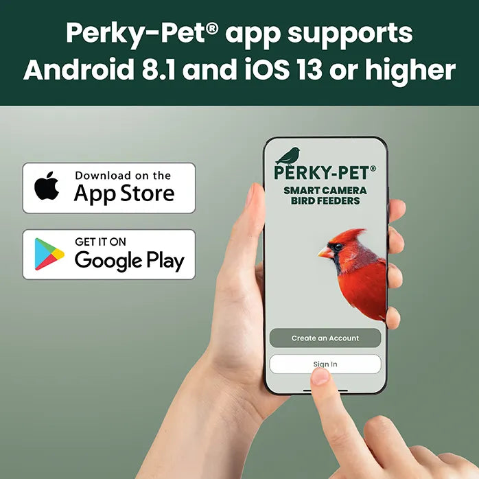 Perky-Pet Smart Camera Squirrel-Resistant Bird Feeder
