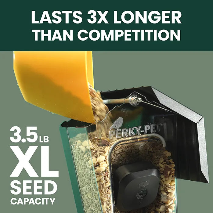 Perky-Pet Smart Camera Squirrel-Resistant Bird Feeder