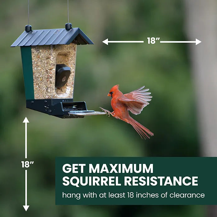 Perky-Pet Smart Camera Squirrel-Resistant Bird Feeder