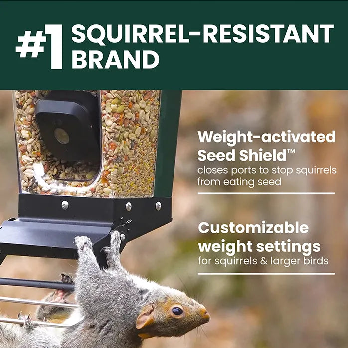 Perky-Pet Smart Camera Squirrel-Resistant Bird Feeder